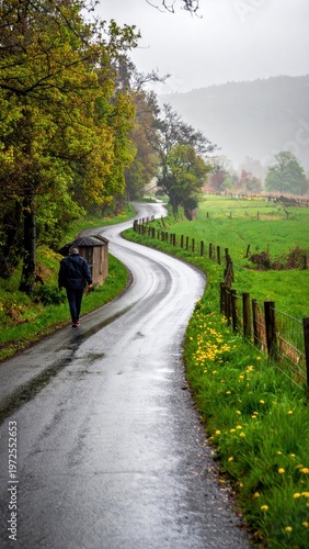 Serene Rainy Country Road with Lush Greenery and Wet Pavement