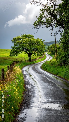 Serene Winding Road Through Lush Green Fields and Trees