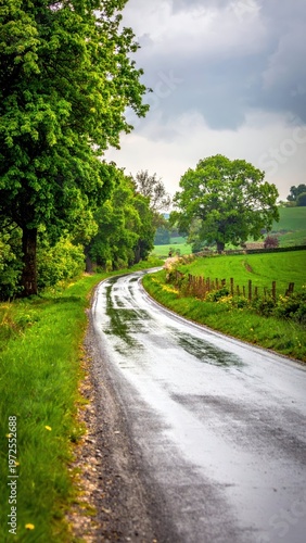 Serene Country Road Surrounded by Lush Green Trees and Fields