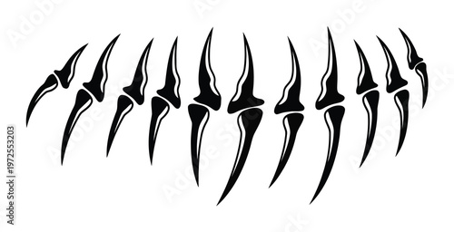 Black Bone Claws or Talons