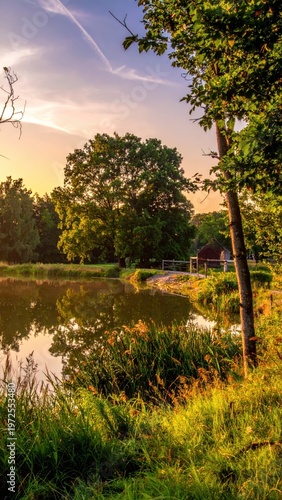 Tranquil Sunset Scene by Still Lake Surrounded by Lush Greenery