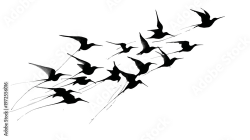 Abstract Bird Silhouette Logo with Multiple Flying Birds in Dynamic Minimal Design