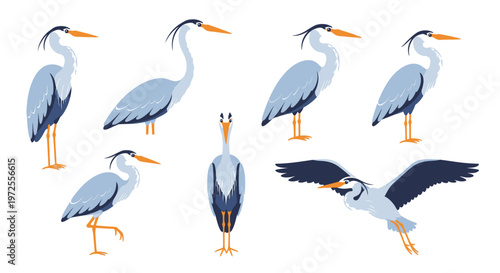 Collection of Illustrated Grey Herons in Various Poses.