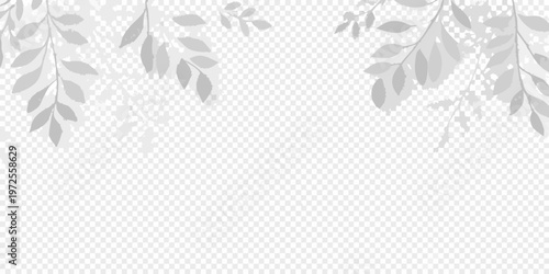 Delicate gray leaves forming a transparent background pattern