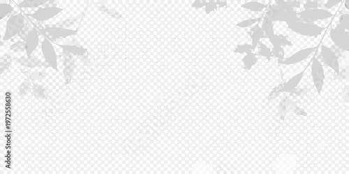 Delicate tree branches cast shadows on a textured light gray background