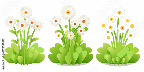 Three bouquets of white daisies with vibrant green stems and leaves