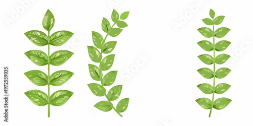 Three vibrant green plant stems with symmetrically arranged leaves