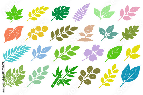 different kind of leave on background design illustrator