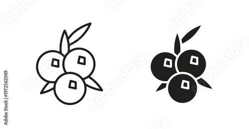 Juniper icon for web design. icon symbol vector