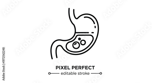 Vector illustration of Stomach with Digestive System Elements on White Background