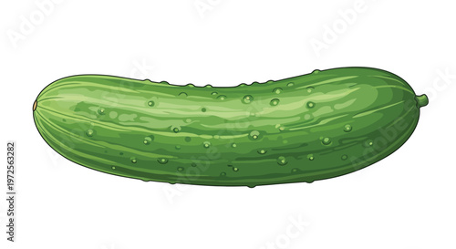 One fresh green cucumber lies horizontally on a white background.