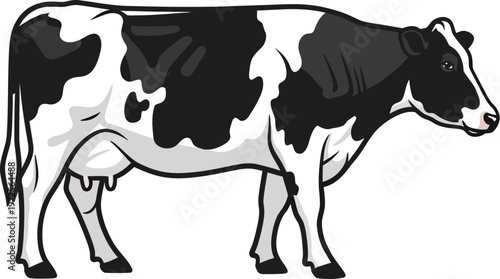 Holstein cow stands calmly in profile against a white backdrop.