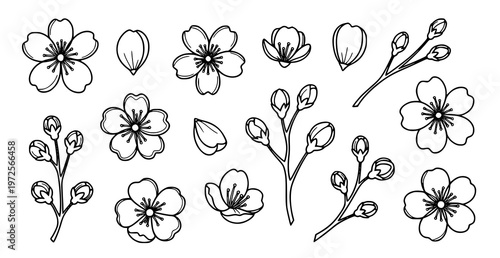 Minimal sakura flower elements set with cherry blossom line art for logo icon and floral design vector