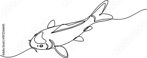 vector illustration of a koi fish line art style 