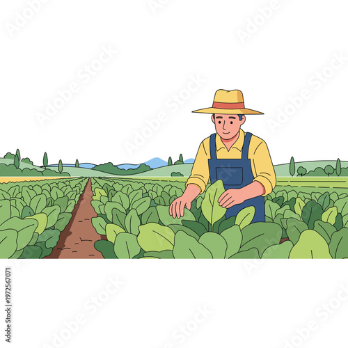 Man in overalls and hat tends to lush green plants in a field