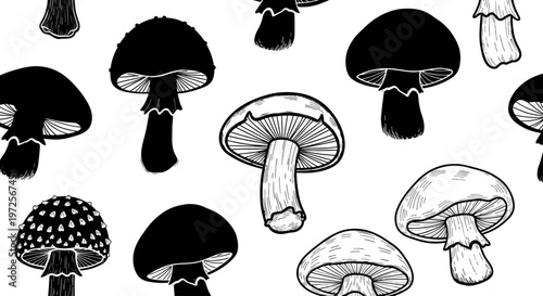 Hand Drawn Mushroom Pattern Black and White Illustration.