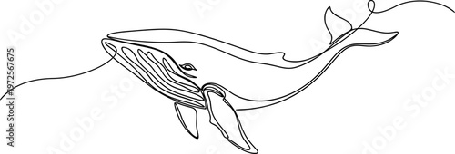 Whale line art style vector illustration
