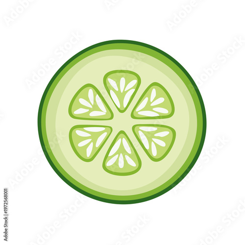 Fresh Green Cucumber Slice Isolated on White Background, Healthy Food Ingredient