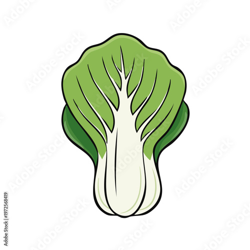 Fresh Bok Choy Illustration Healthy Vegetable Food Ingredient