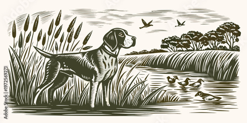 A vintage style illustration of a hunting dog and waterfowl scene