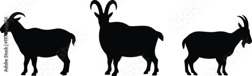 goat silhouettes vector set, black farm animal icons, domestic livestock illustration, standing goats collection, isolated rural animals flat design