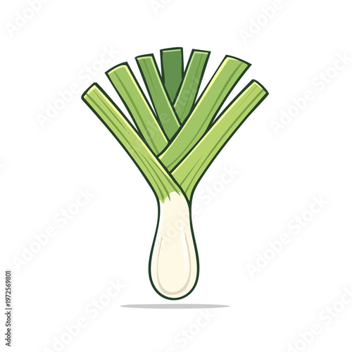 Stylized illustration of a fresh green leek with white bulb and long leaves fanned out