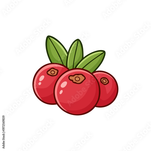 Vibrant red lingonberries with green leaves illustration food ingredient for healthy eating