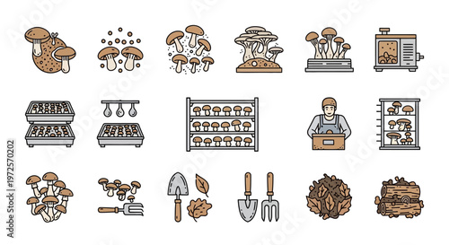 A comprehensive set of vector icons illustrating the process of mushroom cultivation, from growing and harvesting to various types of fungi and farming tools.