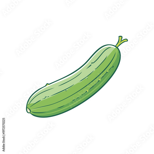 Fresh Green Cucumber with Ribbed Surface and Stem Vector Illustration
