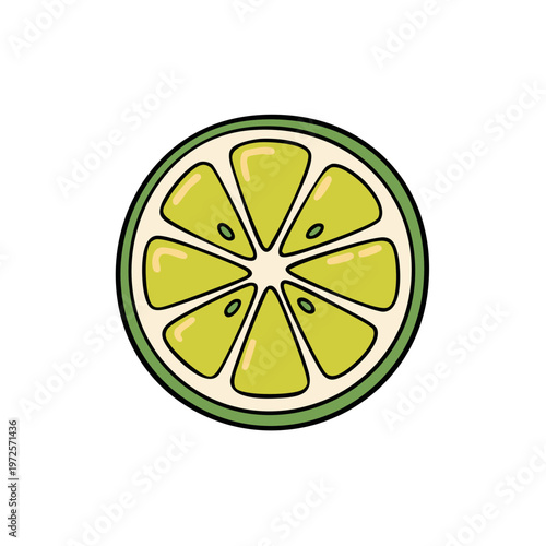 Vibrant lime slice with segmented pulp and green rind, a refreshing citrus illustration