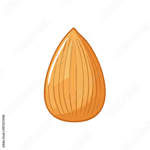 Single Almond Nut Detailed Illustration Healthy Organic Seed Food Ingredient