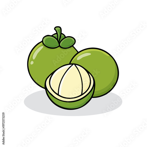 Illustration of three round green fruits with one sliced in half revealing light green segments and white pith