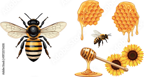Realistic Honey Bee and Honeycomb Collection with Dripping Honey Dip Stick Sunflower Elements for Nature Agriculture and Organic Food Design