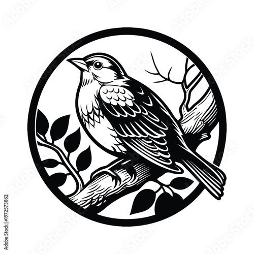 Detailed illustration of a small songbird perched on a tree branch within a circular frame.