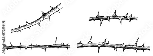 Set of hand drawn thorny branches and sharp wooden vines in engraving style