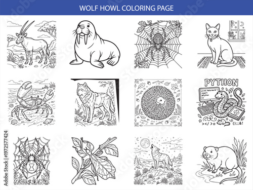 Animal and nature coloring page collection featuring wolves spiders and cat line art for creative kids activity books