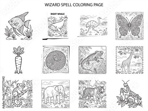Wizard spell coloring page set with exotic animals like giraffe tiger and butterfly line art for children activities