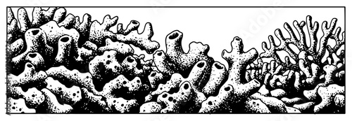 Detailed hand drawn sketch of tropical coral reef and underwater sponges in vintage stipple style
