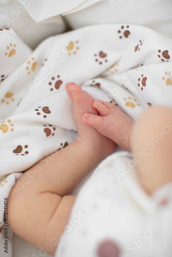 Wallpaper Mural Newborn Feet on Blanket Torontodigital.ca