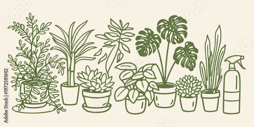 A collection of various potted houseplants and plant care spray bottles