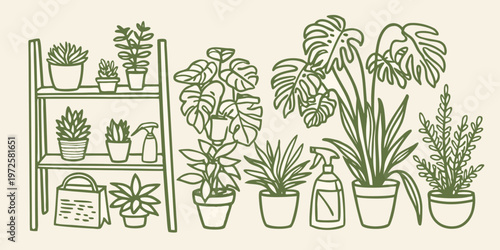A botanical illustration of a tiered plant shelf with various houseplants