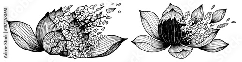 Foto Surreal hand drawn illustration of crumbling lotus flowers disintegrating into s