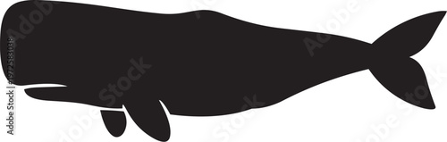 Beluga Whale silhouette vector illustration icon design nature animal sea water cartoon simple style