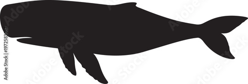 Dolphin and Fish Silhouette Vector Illustration Icon
