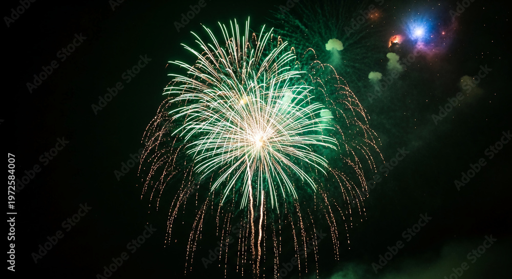 Fototapeta premium Image of green and gold firework on night sky, representing celebration, festive moment, or visual spectacle, suitable for party or holiday concepts