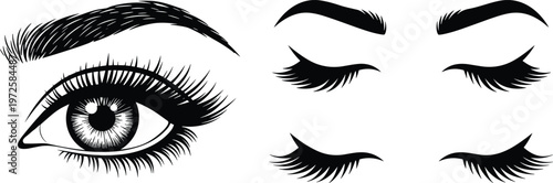 Eyelashes and Eyebrows Vector Illustration Set with Eye Makeup Elements, Lash Styles and Brow Shapes Beauty Design Collection