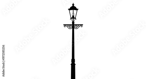 Black street lamp post standing tall.