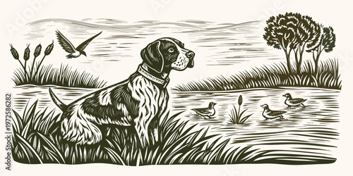 A vintage style engraving of a hunting dog with waterfowl