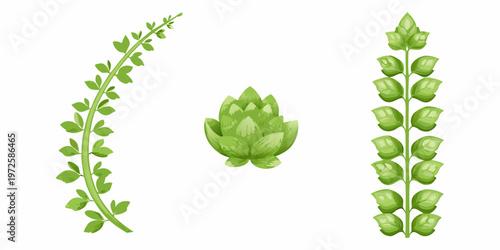 Illustrative depiction of vibrant green plant stems and a budding artichoke
