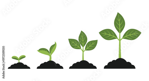 Four distinct phases of a vibrant green plant emerging from dark soil mounds are displayed in a horizontal row against a stark and clean white backdrop.
